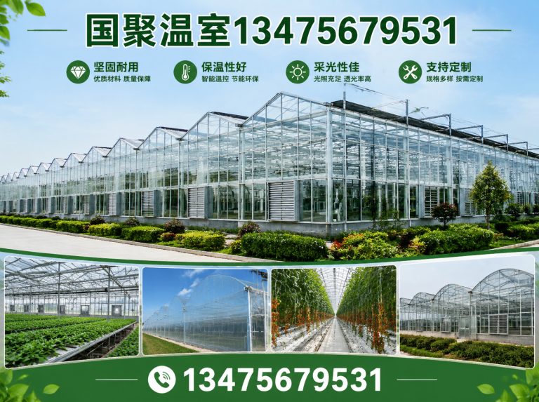 寿光市连栋薄膜温室展示图