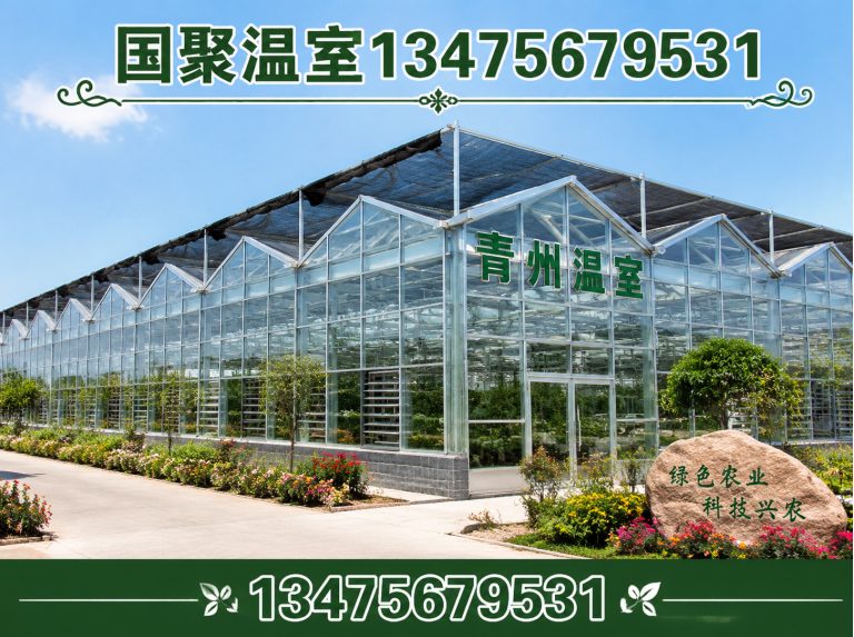 寿光市青州温室展示图